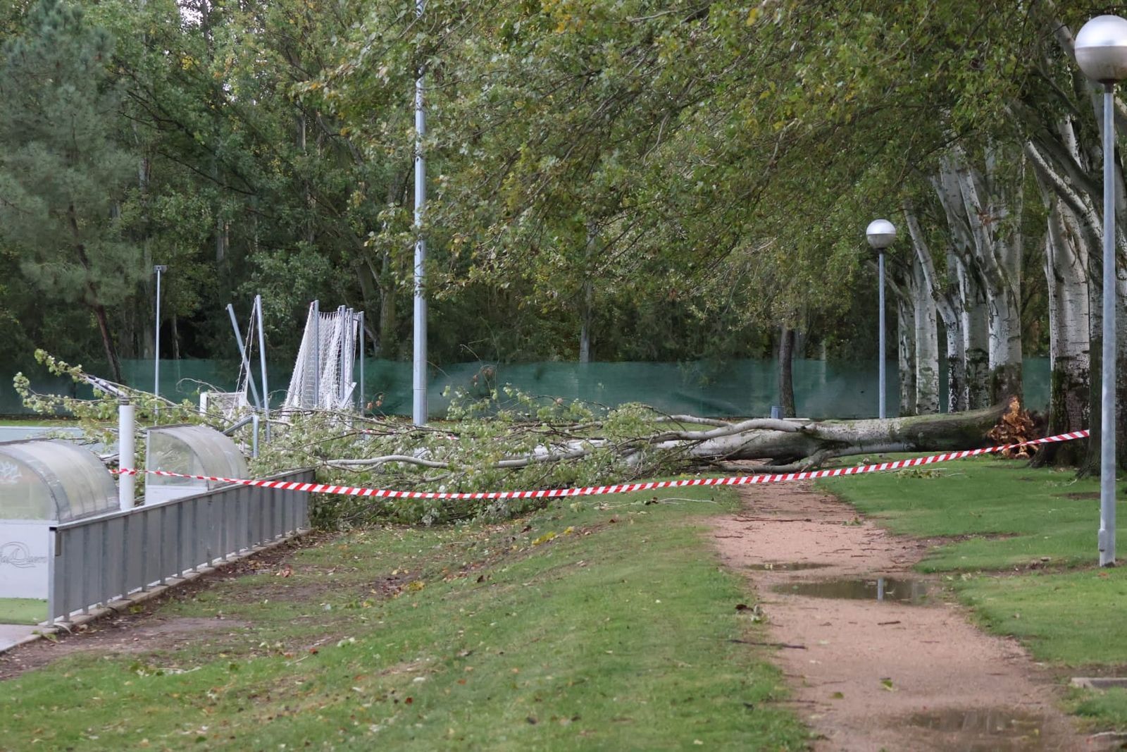 GALERÍA | Desperfectos en La Aldehuela