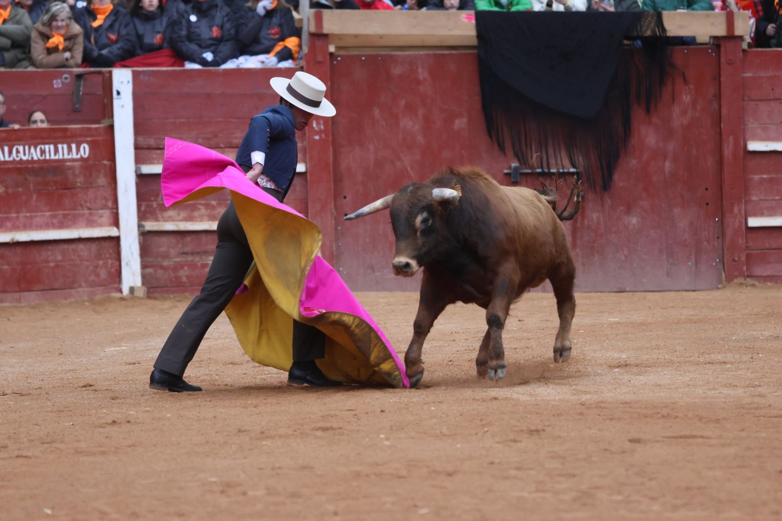 Novillada sin picadores del bolsín taurino y rejones en Ciudad Rodrigo