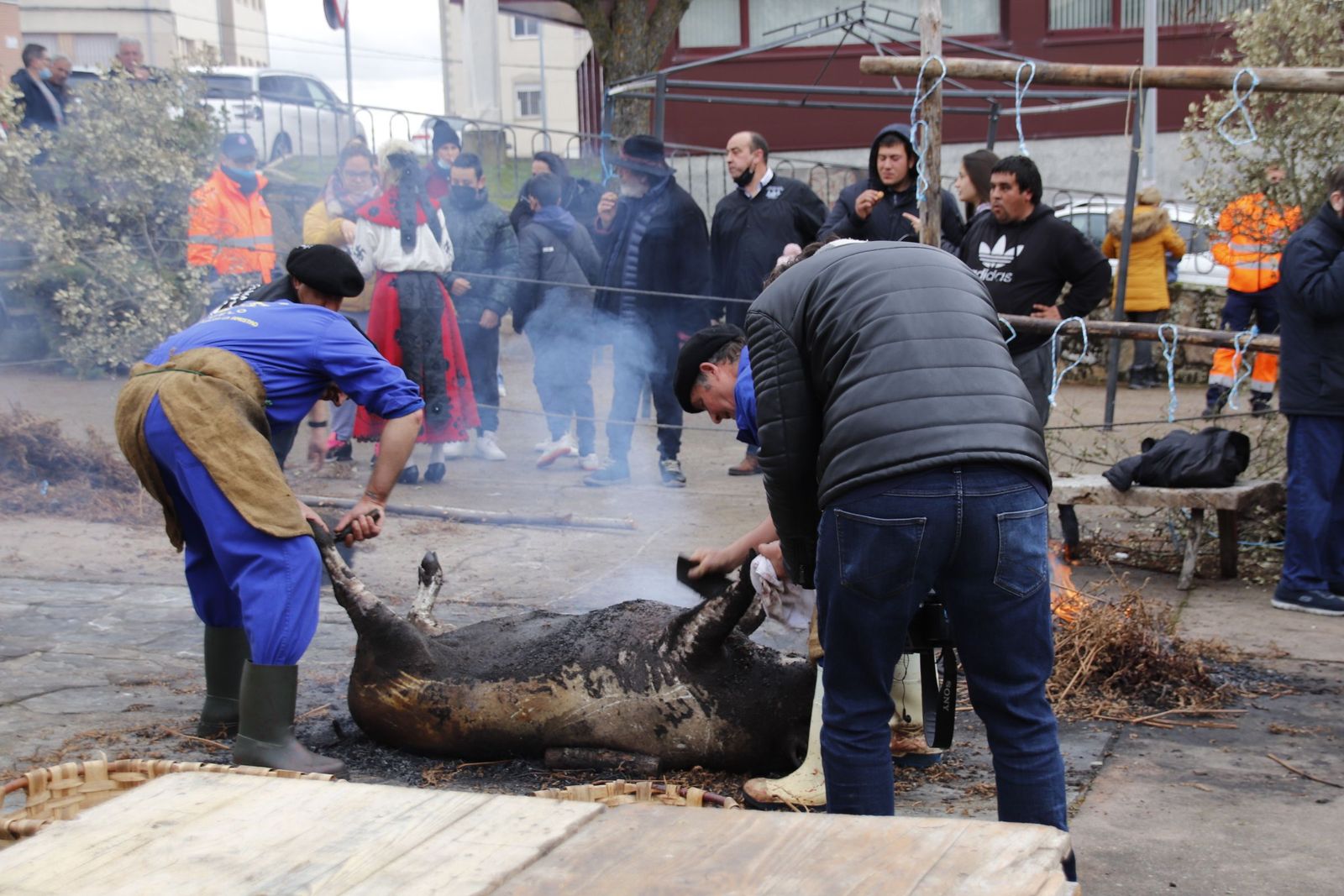 20220226135112-mg-1358