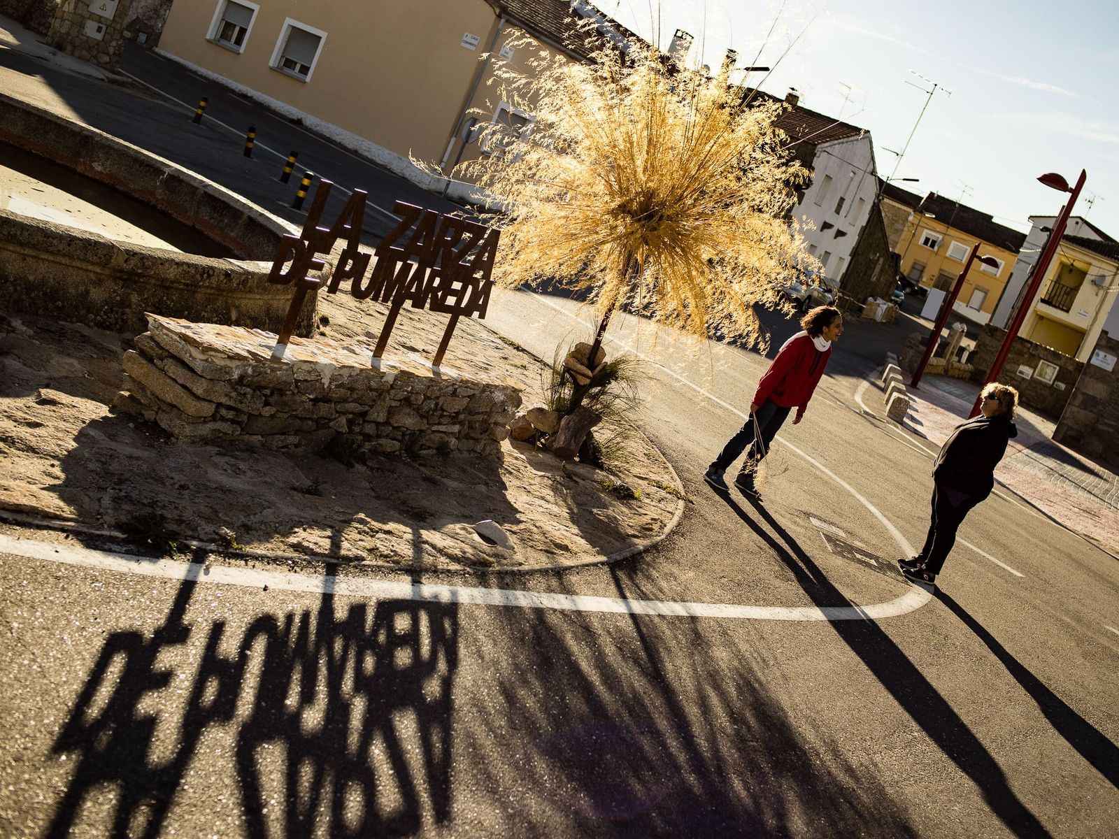 Ritaflowers golden tree zarza de pumareda 07