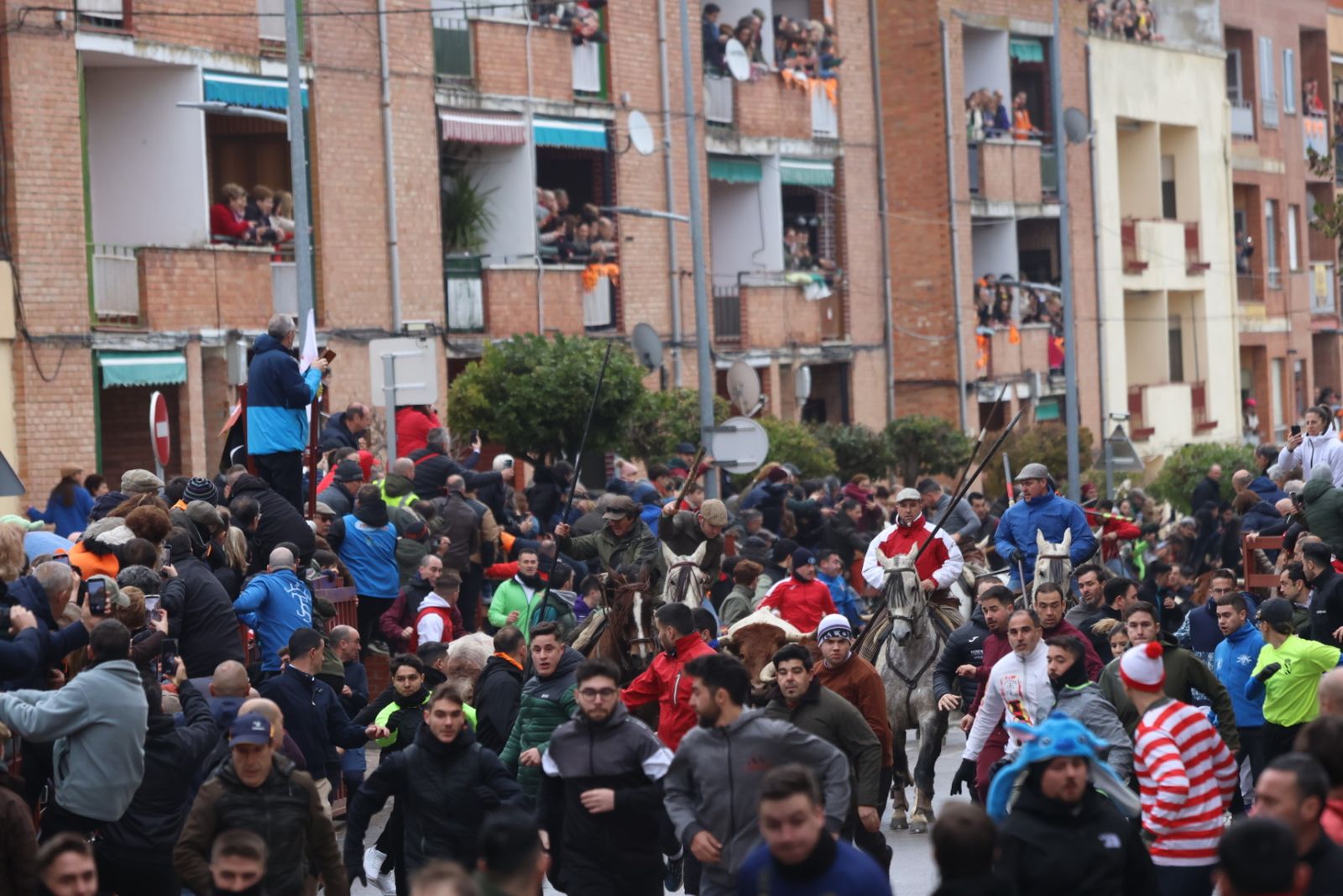 Encierro a Caballo en el Carnaval del Toro 2026 de Ciudad Rodrigo