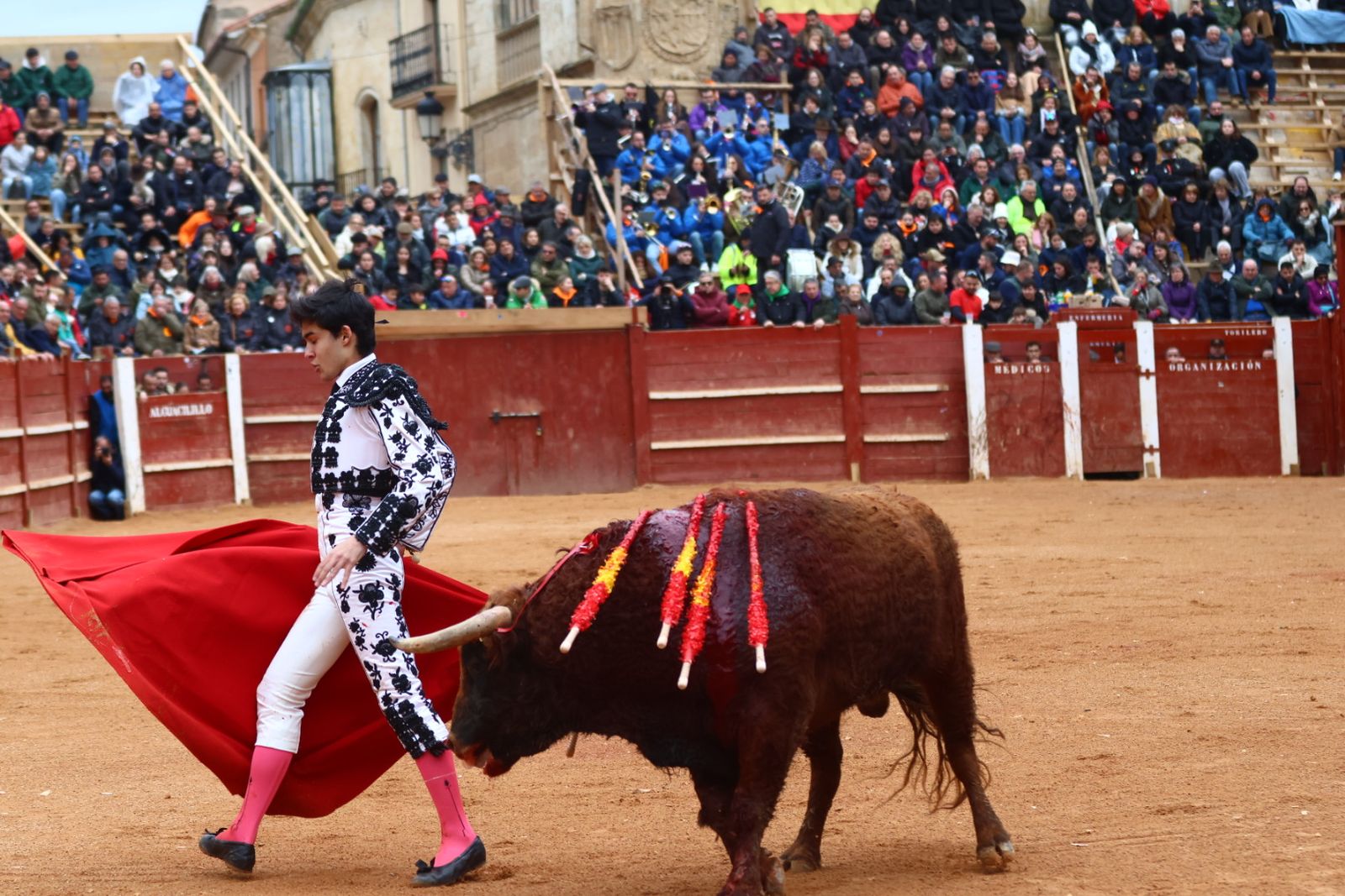 Novillada con picadores de lunes en el Carnaval del Toro de Ciudad Rodrigo 2026