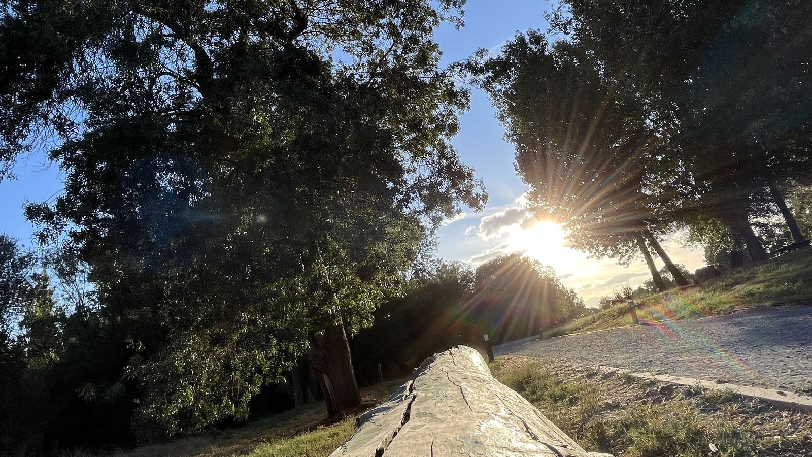Naturaleza brillante. Primer Premio Categoría Infantil-Juvenil.