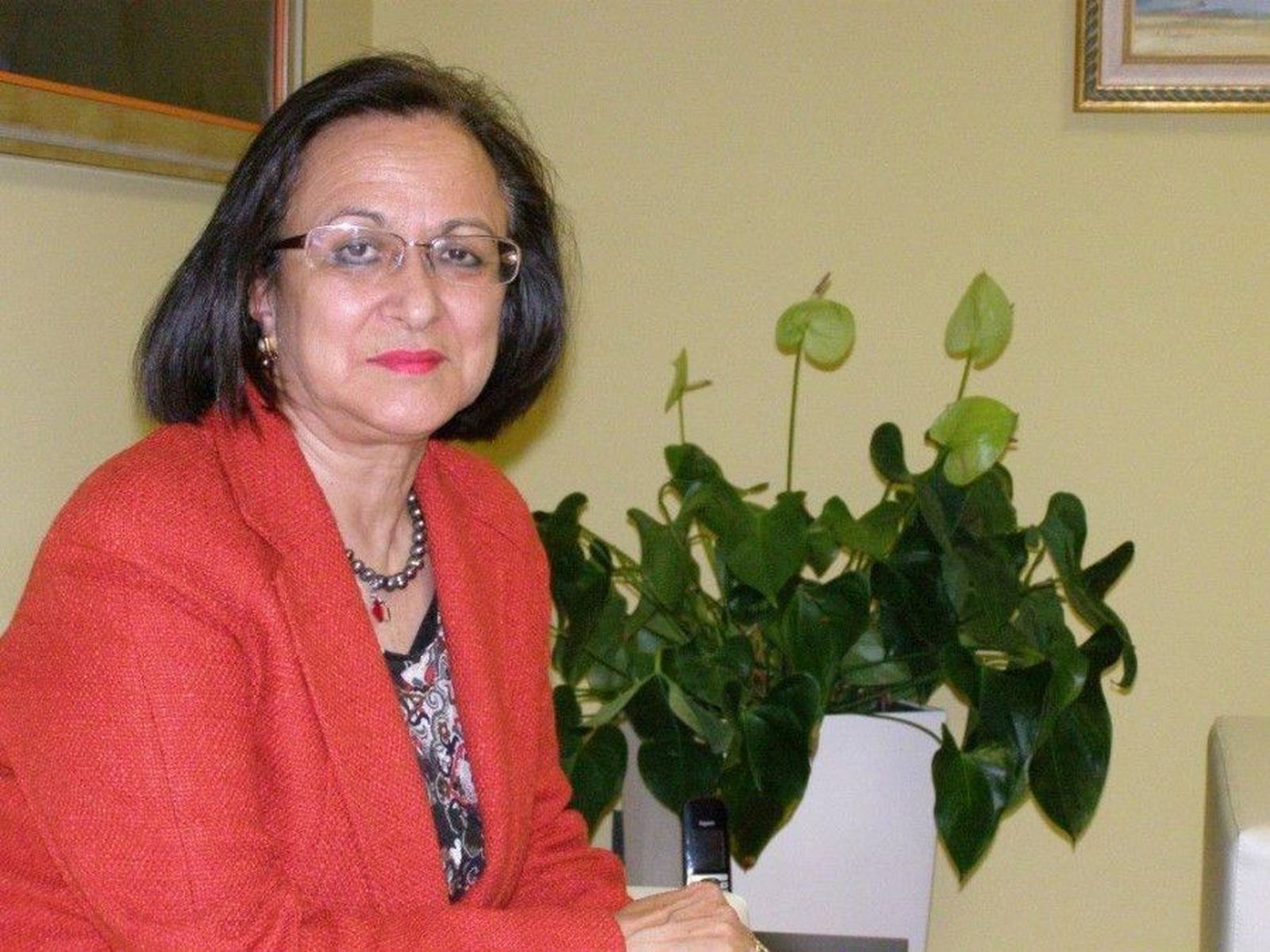 Lourdes villoria cabrerizos