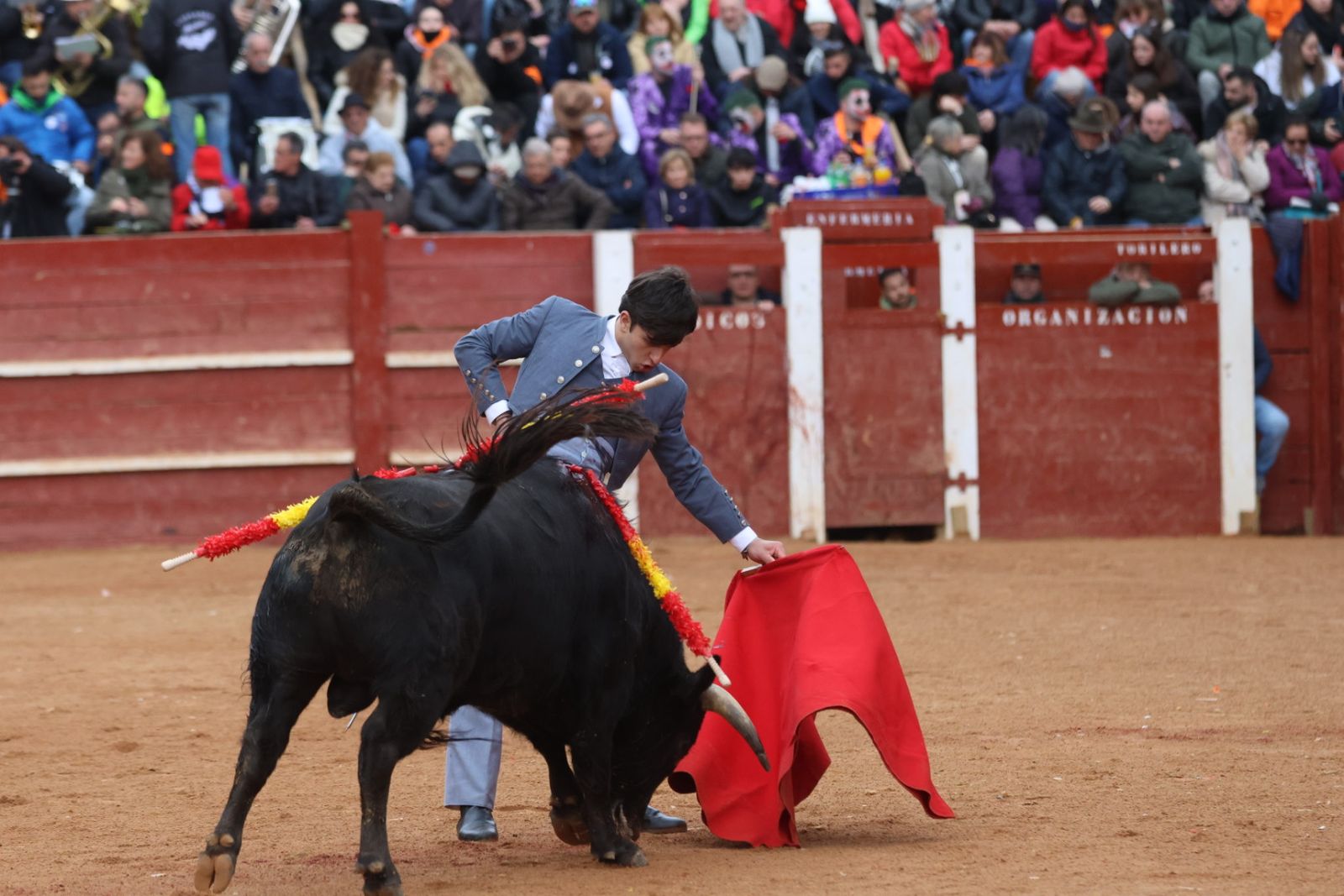 Novillada sin picadores del bolsín taurino y rejones en Ciudad Rodrigo