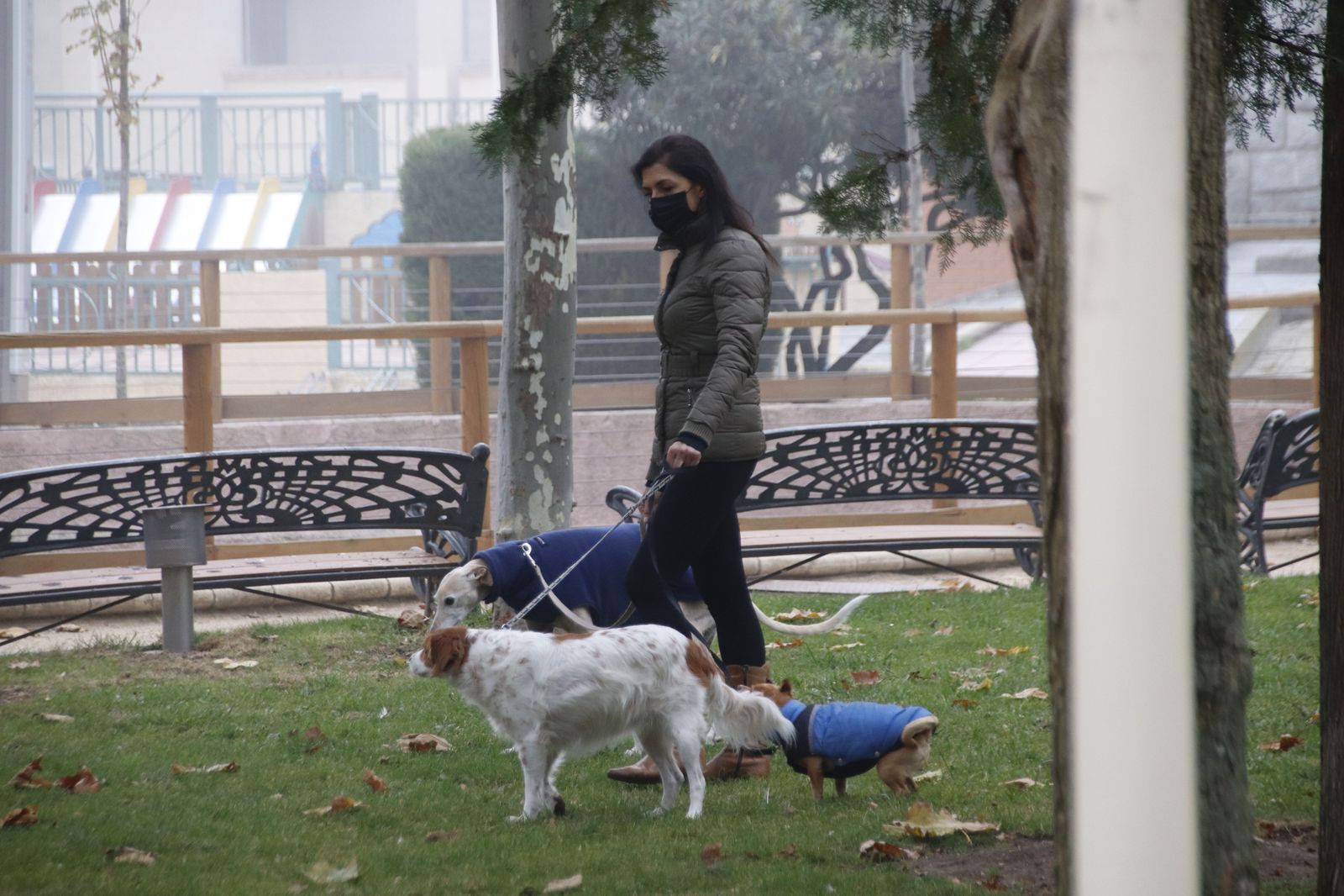 Gente con sus perros en el parque de la Alamedilla en invierno con frío