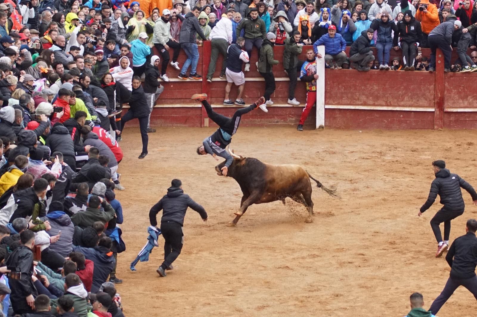 Cogida en la capea del lunes Carnaval del Toro. Foto: Juanes