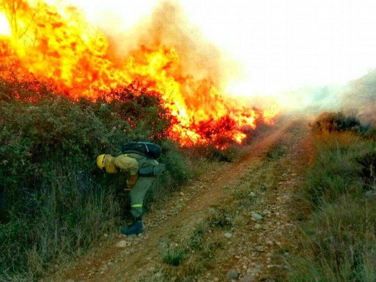 El incendio del Condado originado por maquinaria agrícola quema 140 hectáreas de roble y pasto