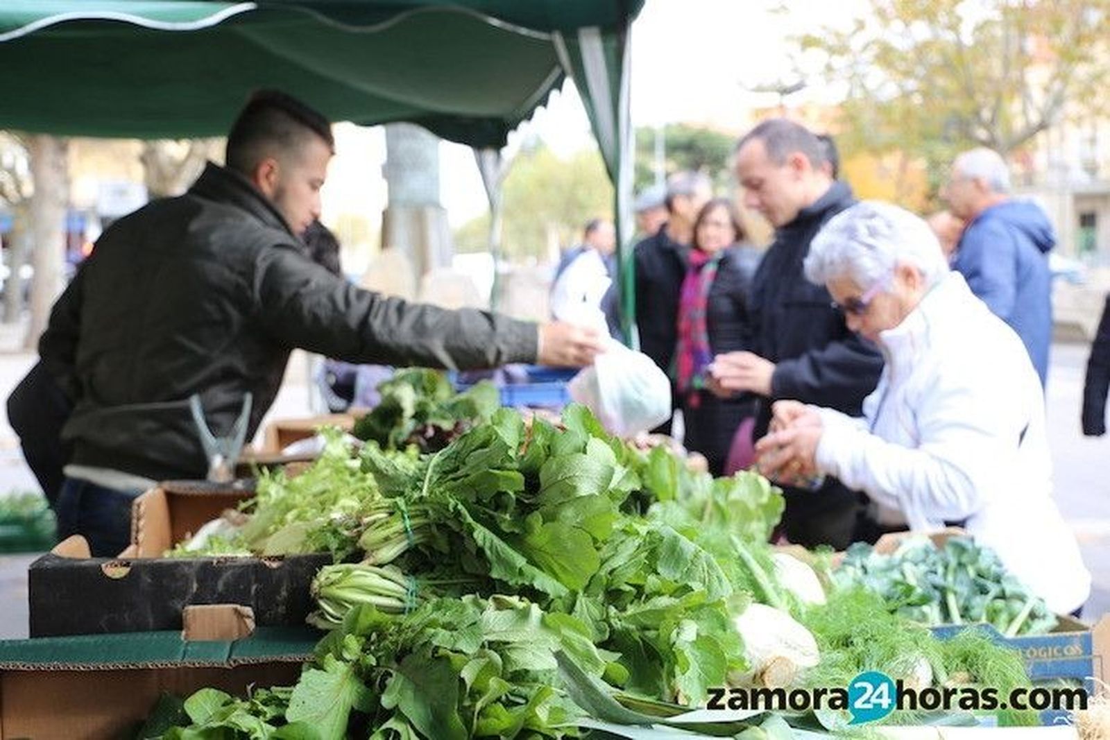 El mercado ecológico regresa este sábado a la Marina