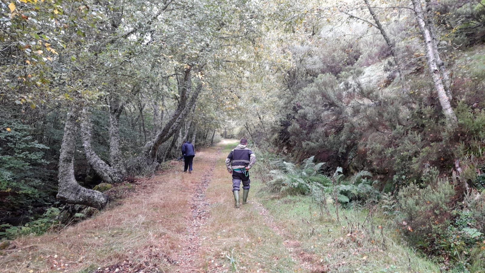 IMG 20201012 WA0010 (1)