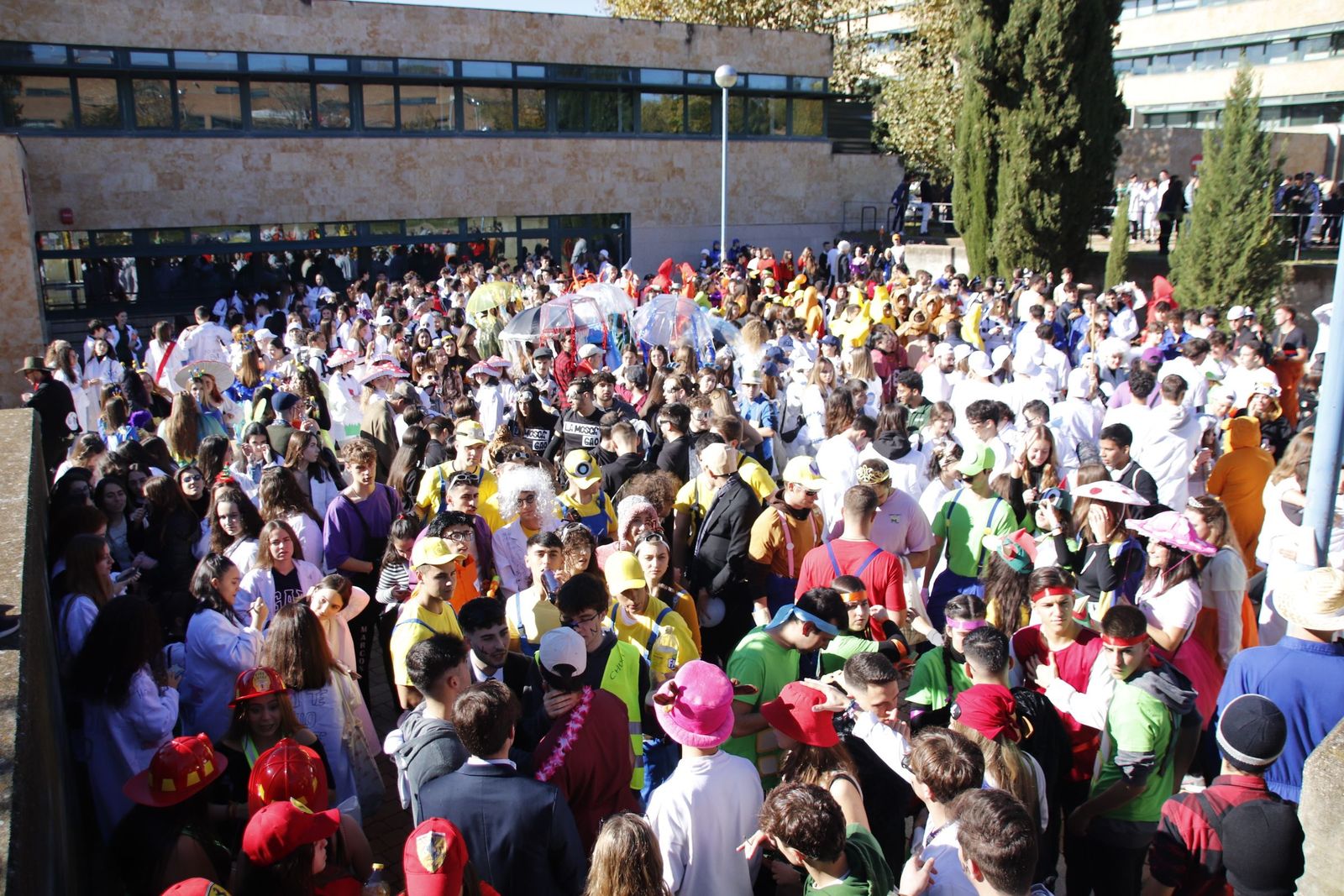 20221110120821-mg-1010