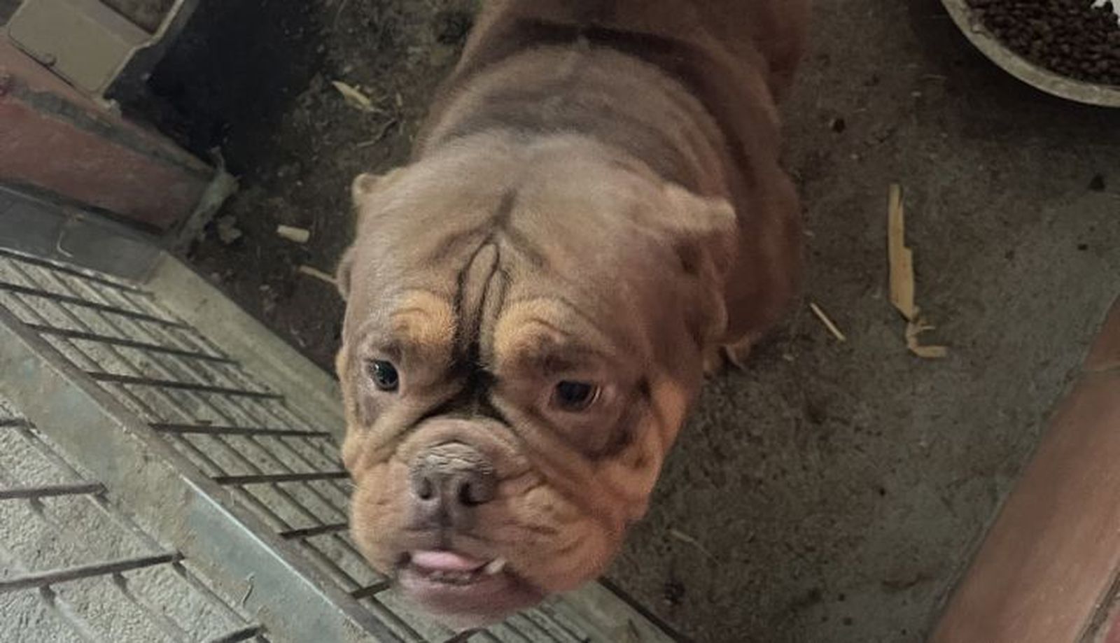 07 03 2025 OP AUSIS 2 (1)