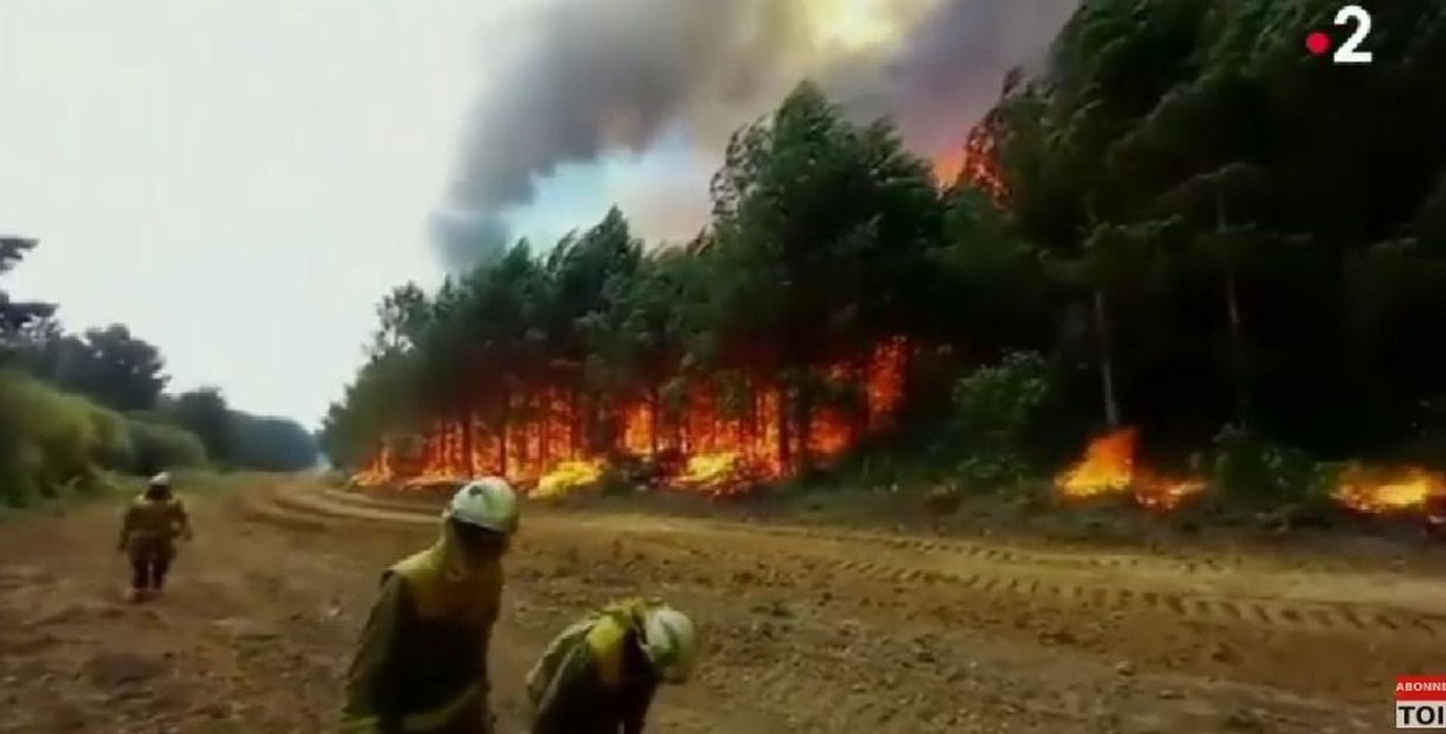 Un instante del Programa