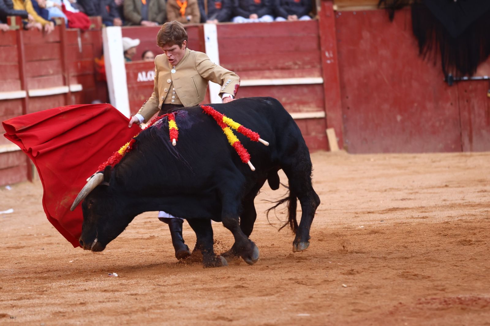 Festival del martes en el Carnaval del Toro 2026
