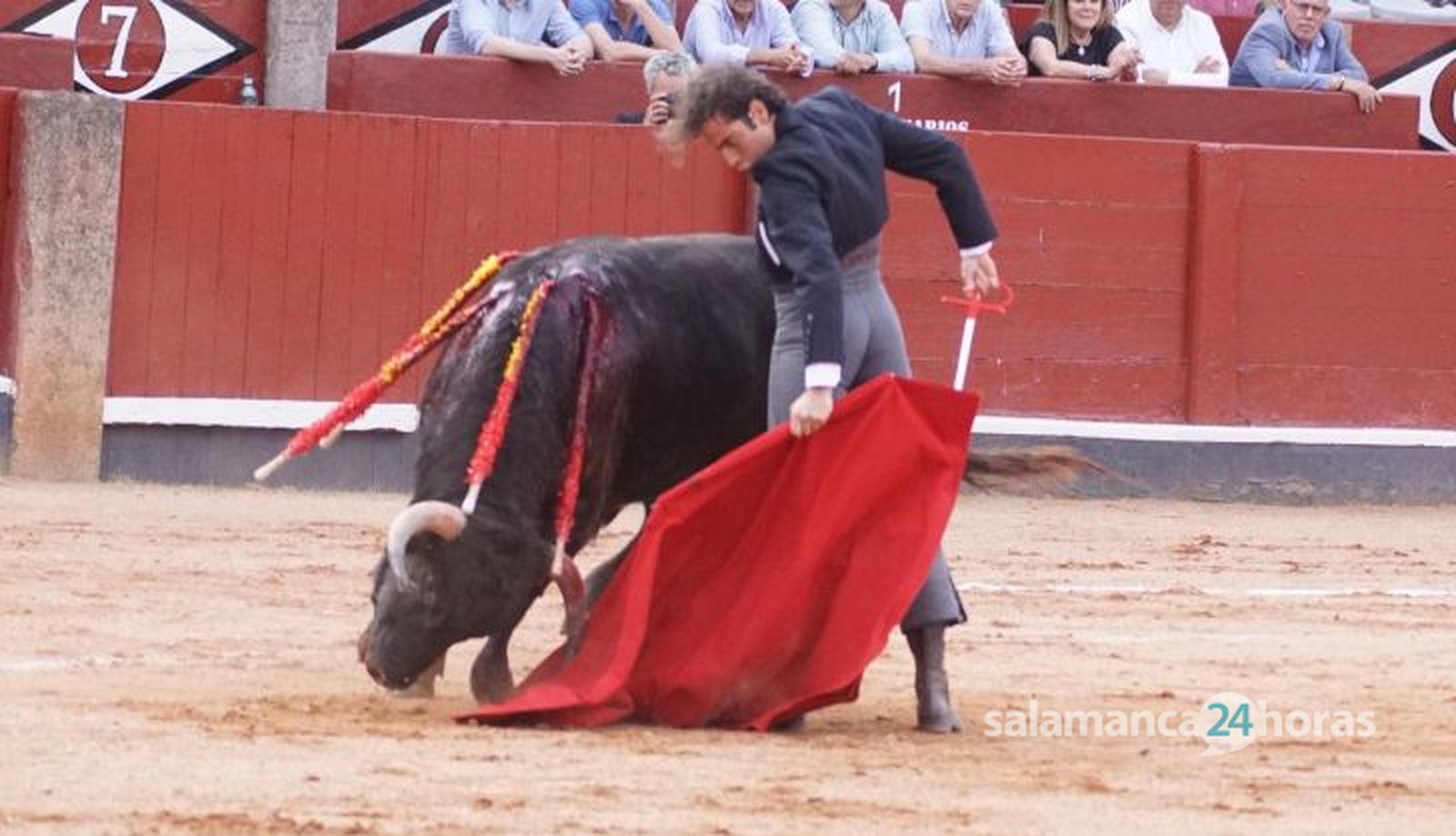 Clase magistral taurina por San Juan de Sahagún en Salamanca: imágenes del festejo Clase magistral taurina por San Juan de Sahagún en Salamanca: imágenes del festejo