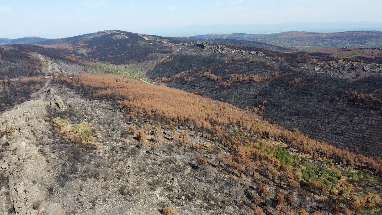 Imagen de un incendio. Ecologistas en Acción Zamora. Archivo