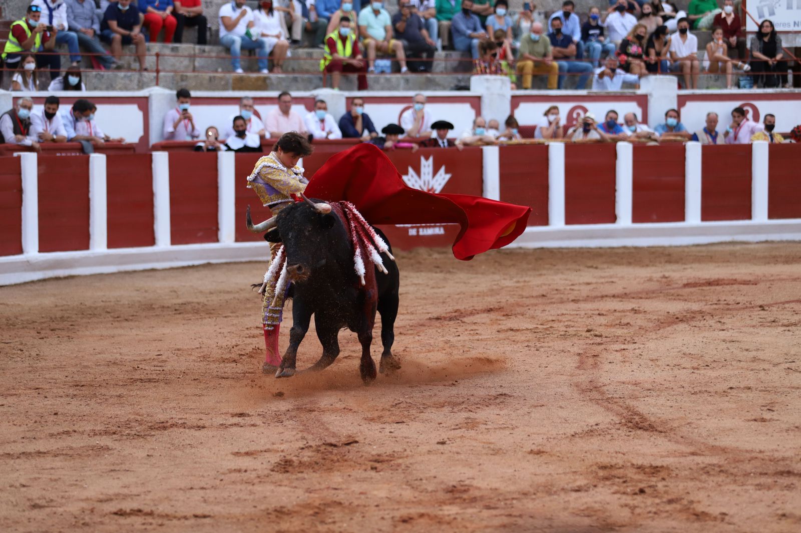 roca-rey-pablo-aguado-y-daniel-luque-en-zamora-13