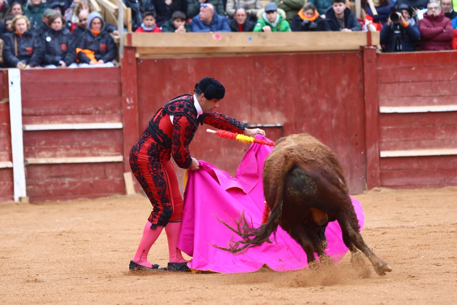 Novillada con picadores de lunes en el Carnaval del Toro de Ciudad Rodrigo 2026