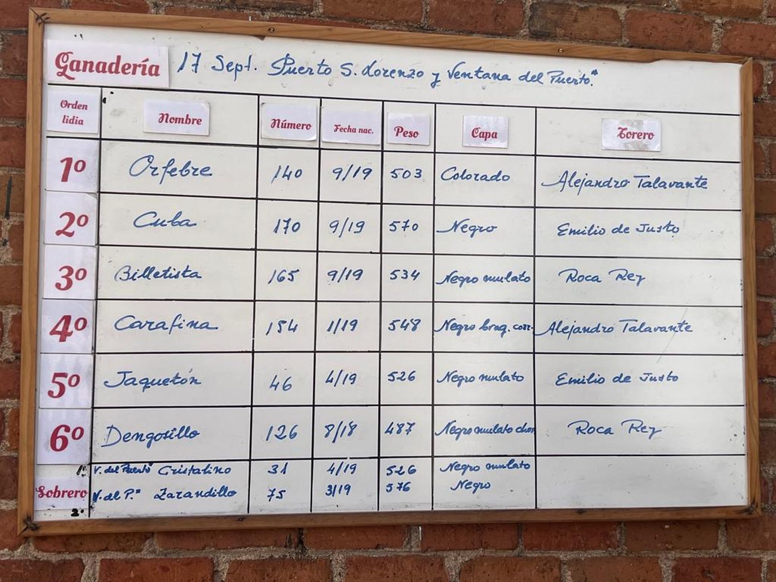 whatsapp-image-2023-09-17-at-13-31-35