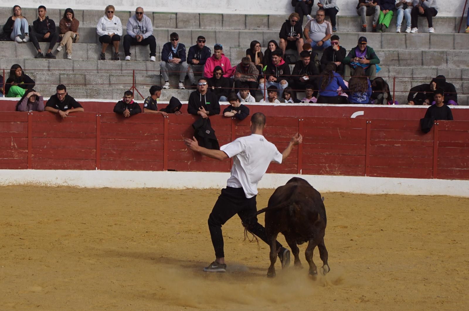 whatsapp-image-2024-09-08-at-14-05-21-7