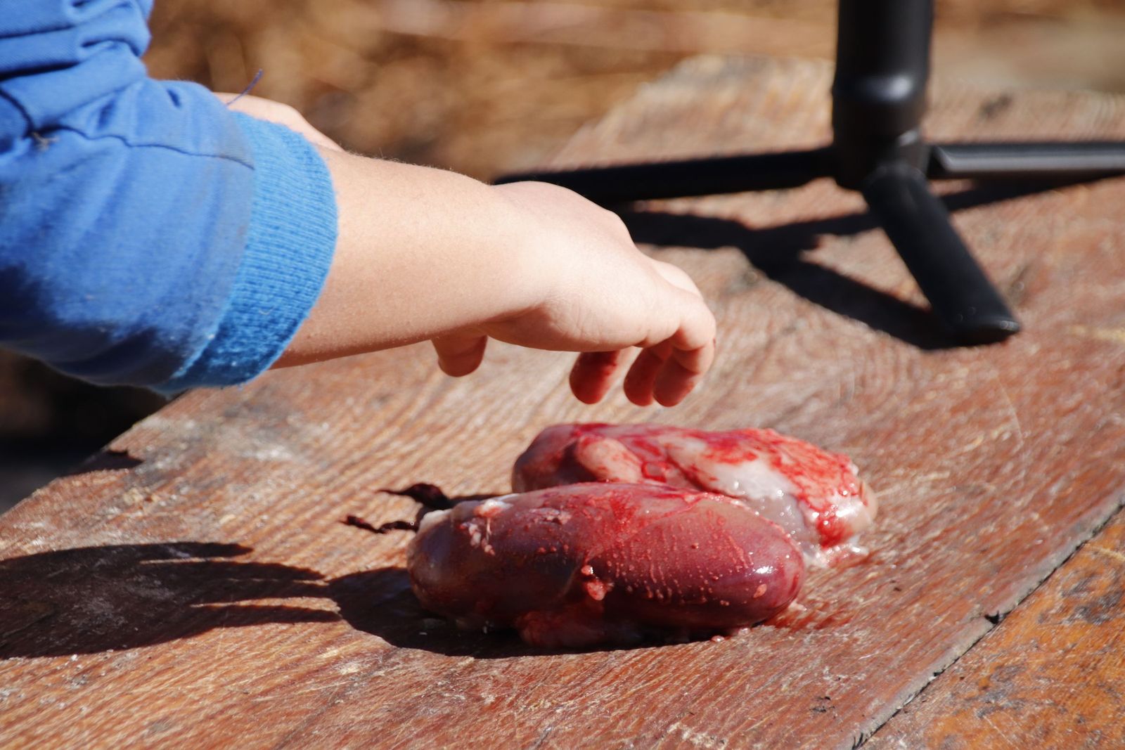 20230204132258-mg-5038