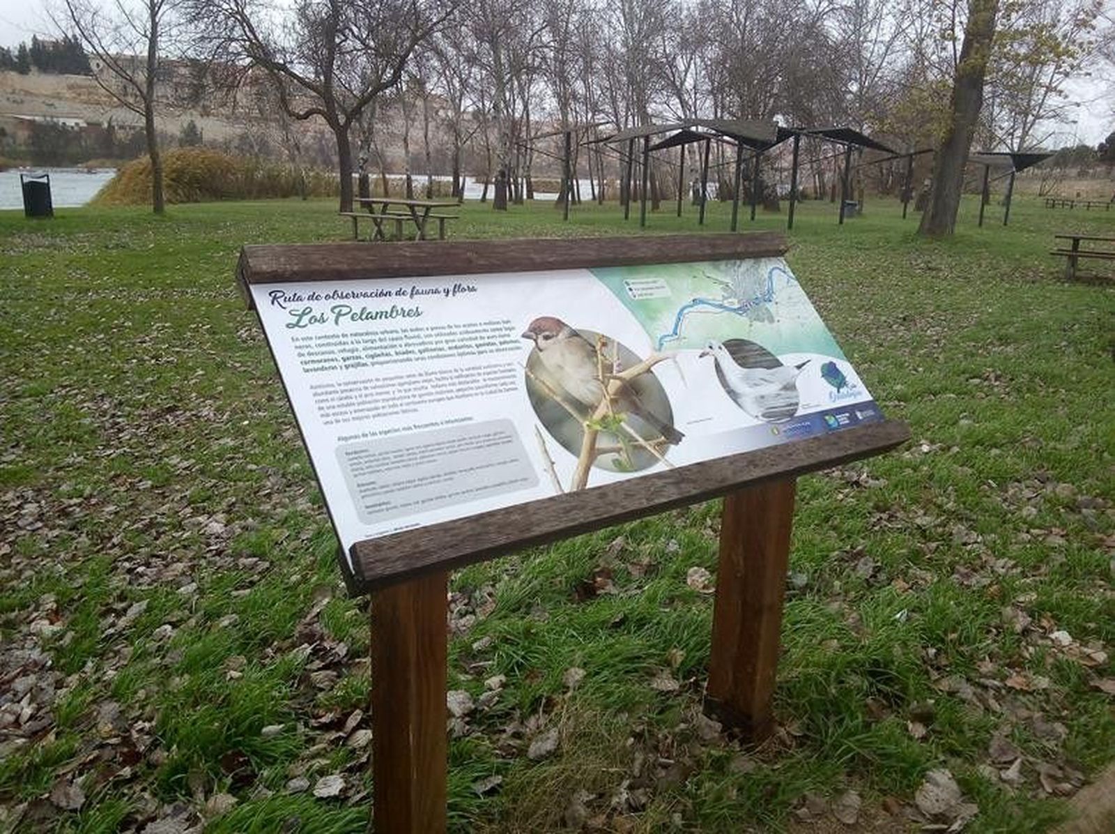 Los Pelambres (Copy)