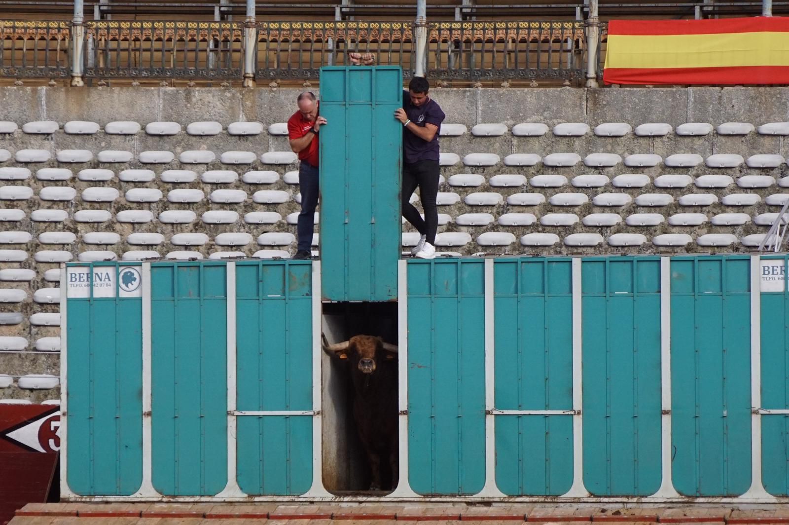 whatsapp-image-2023-09-08-at-19-29-11-1