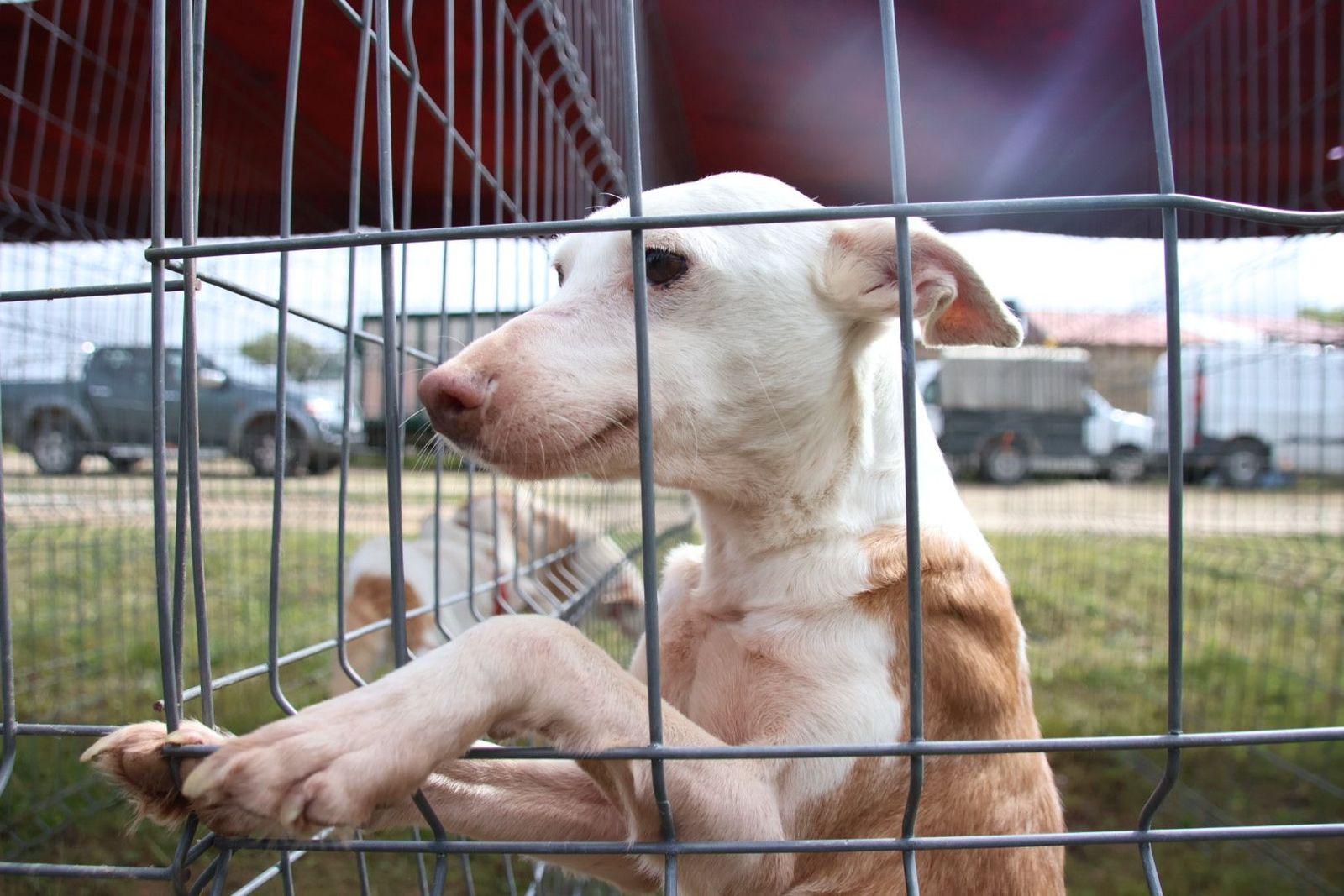 20240501104216-img-2960