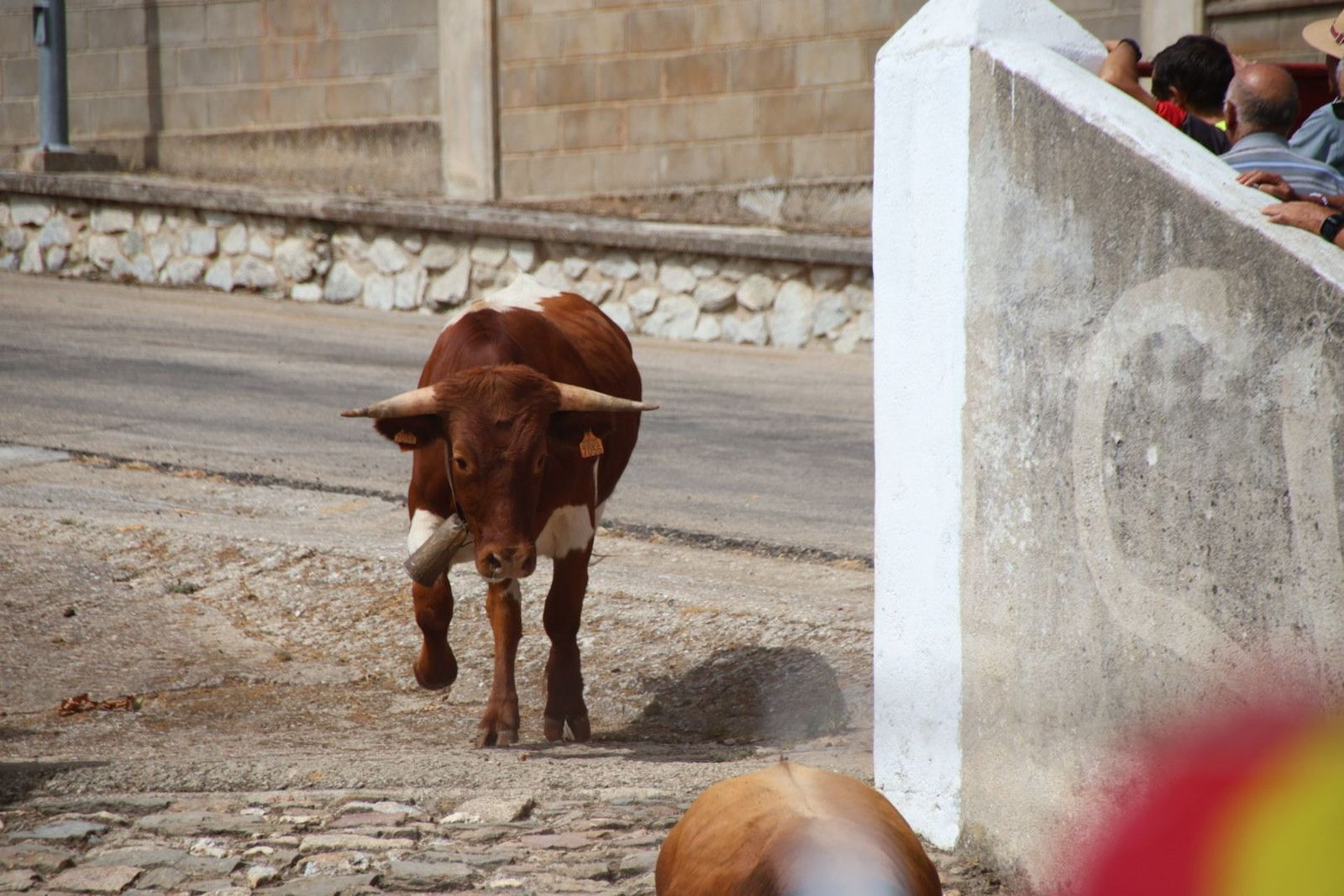 20230809113439-img-9534