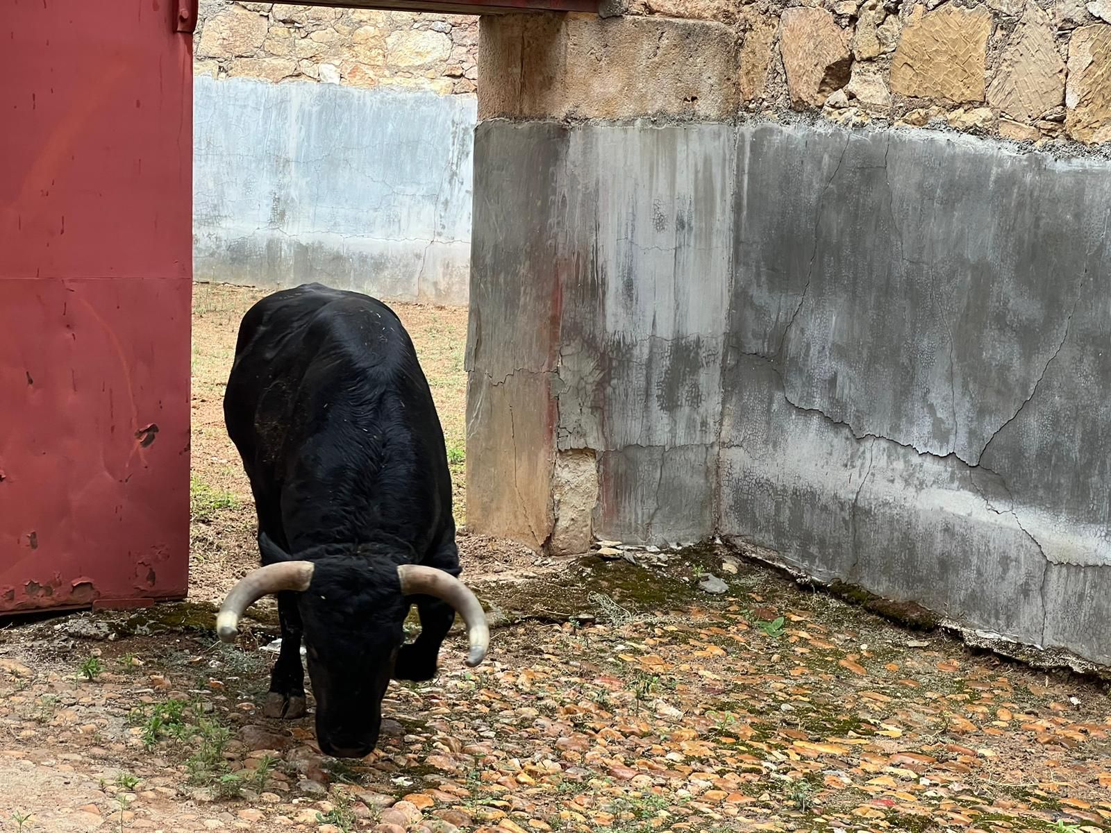 whatsapp-image-2023-09-16-at-12-52-18