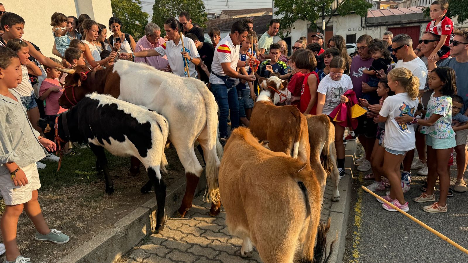 Encierro infantil de Mini Bueyes en Guijuelo durante sus fiestas 2025