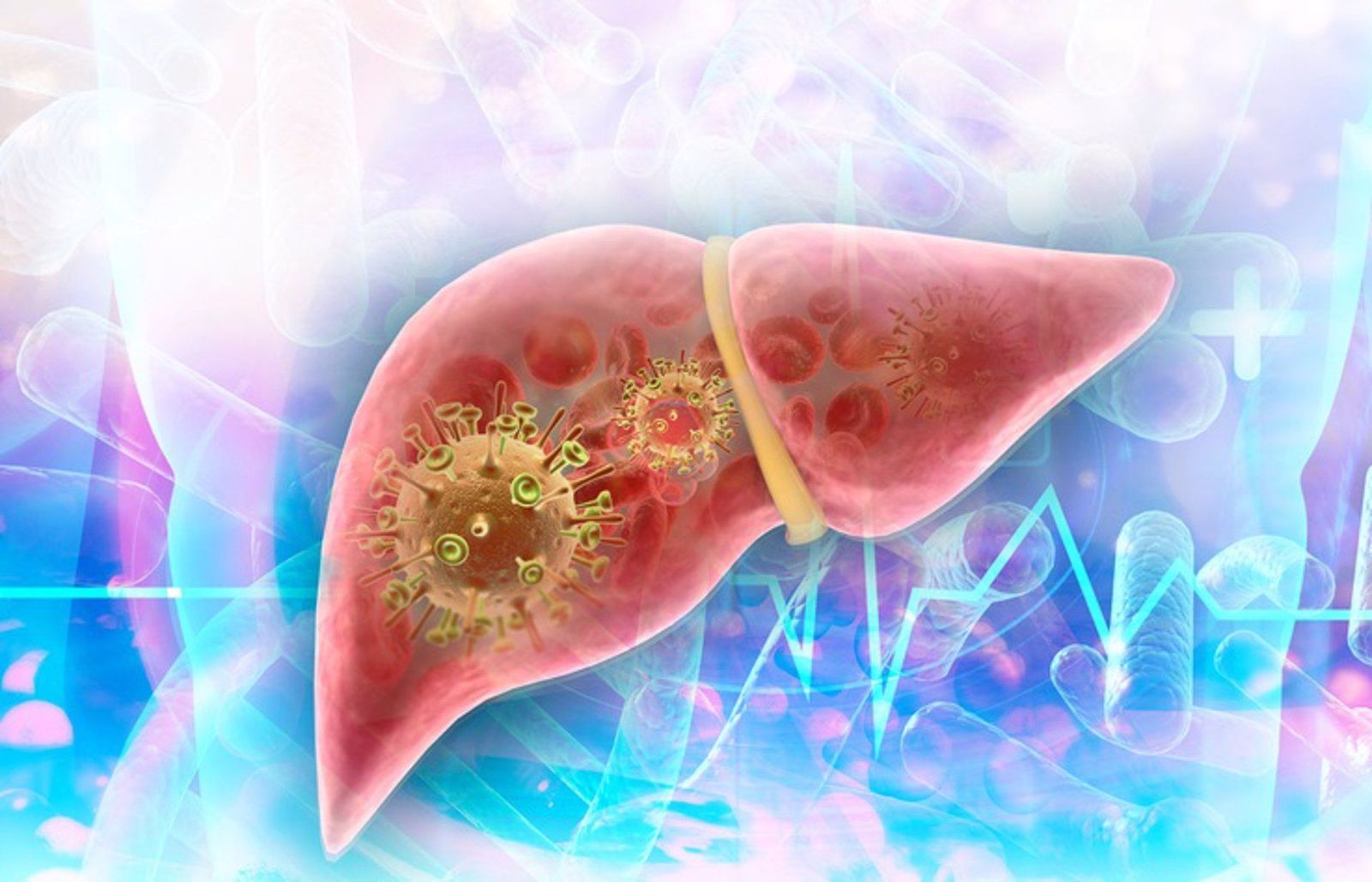 Virus hepatitis, hígado | EUROPA PRESS Virus hepatitis, hígado | EUROPA PRESS