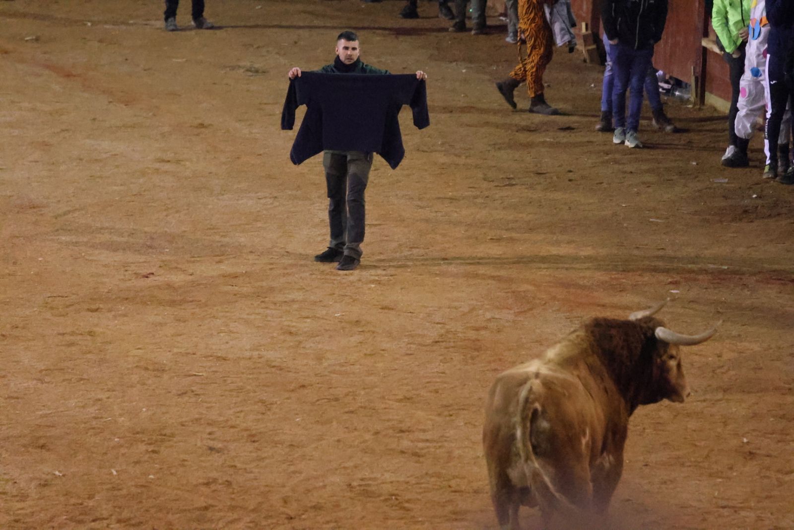 Capea de Sábado tarde en el Carnaval del Toro de Ciudad Rodrigo