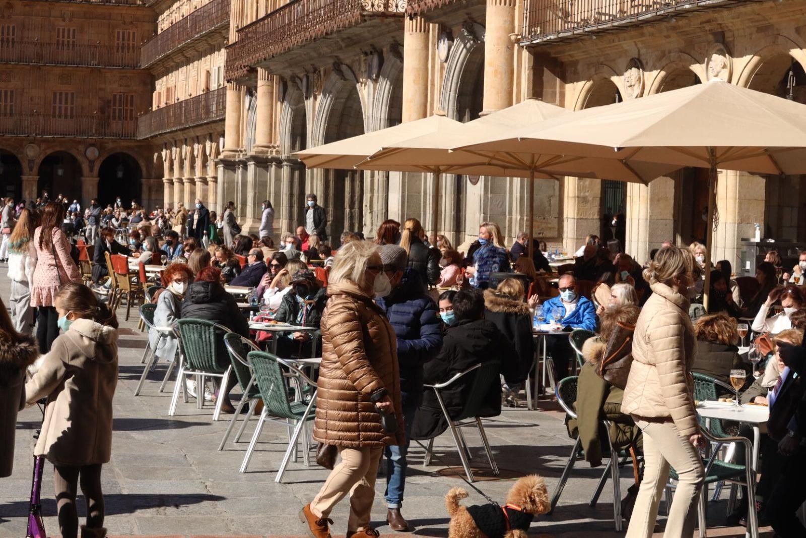terrazas-en-salamanca-el-13-de-febrero-3