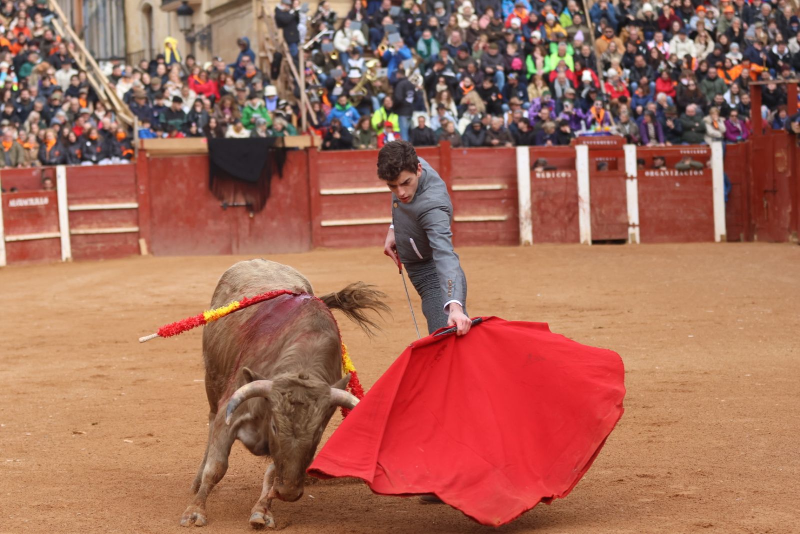 Novillada sin picadores del bolsín taurino y rejones en Ciudad Rodrigo