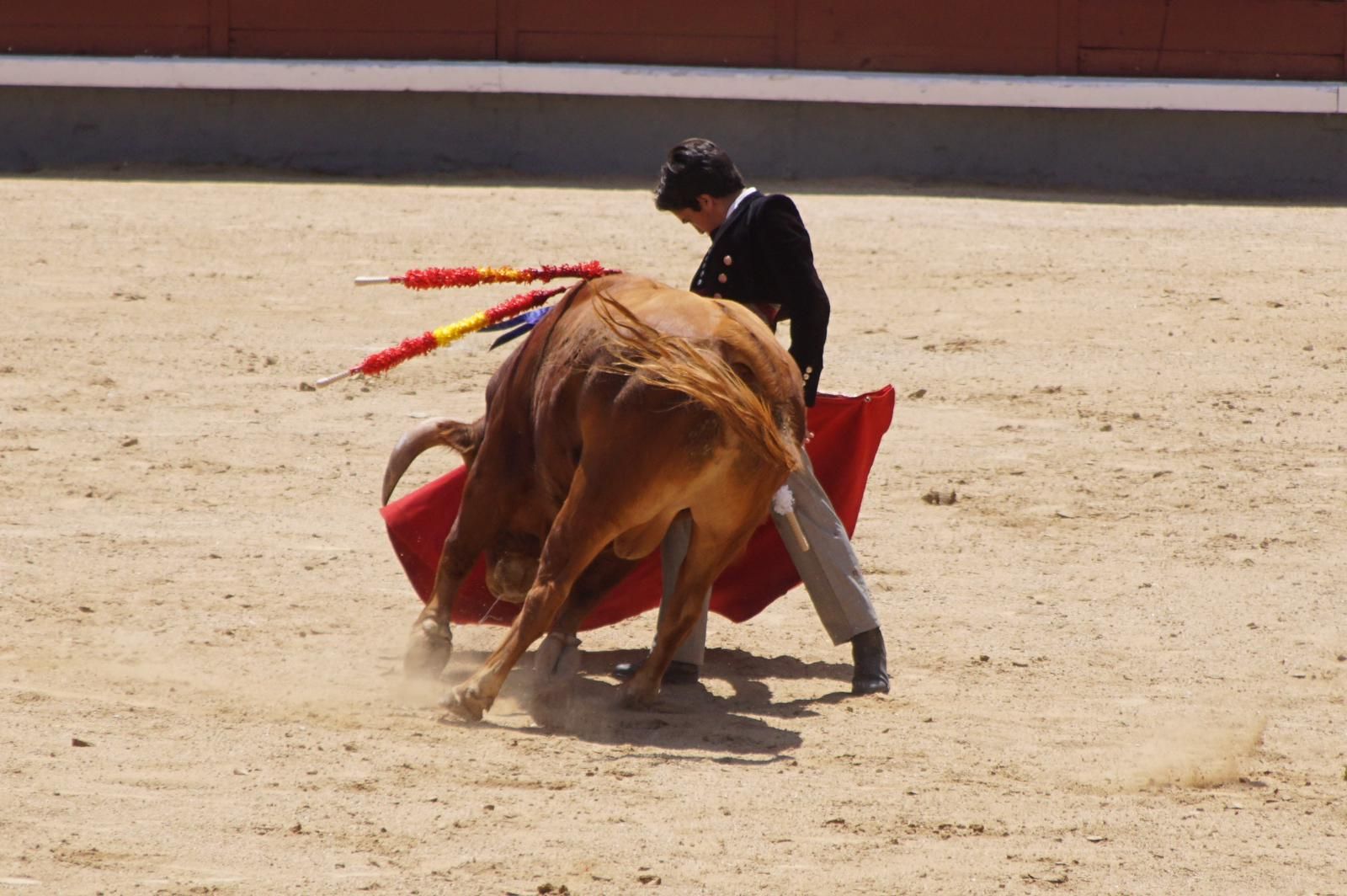 marco-perez-estreno-de-oro-en-las-ventas-12
