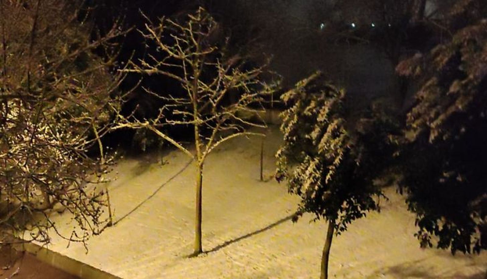 Nieve en Peñaranda Nieve en Peñaranda