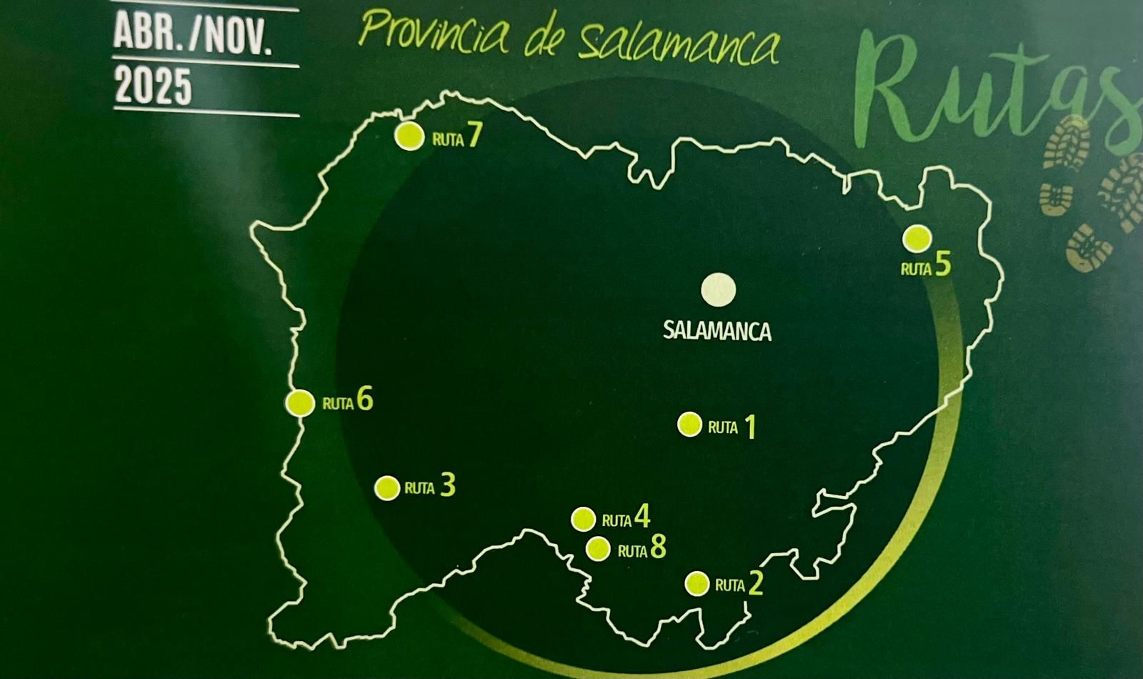 Imagen de WhatsApp 2025 04 22 a las 11.47.45 aea6ecc1