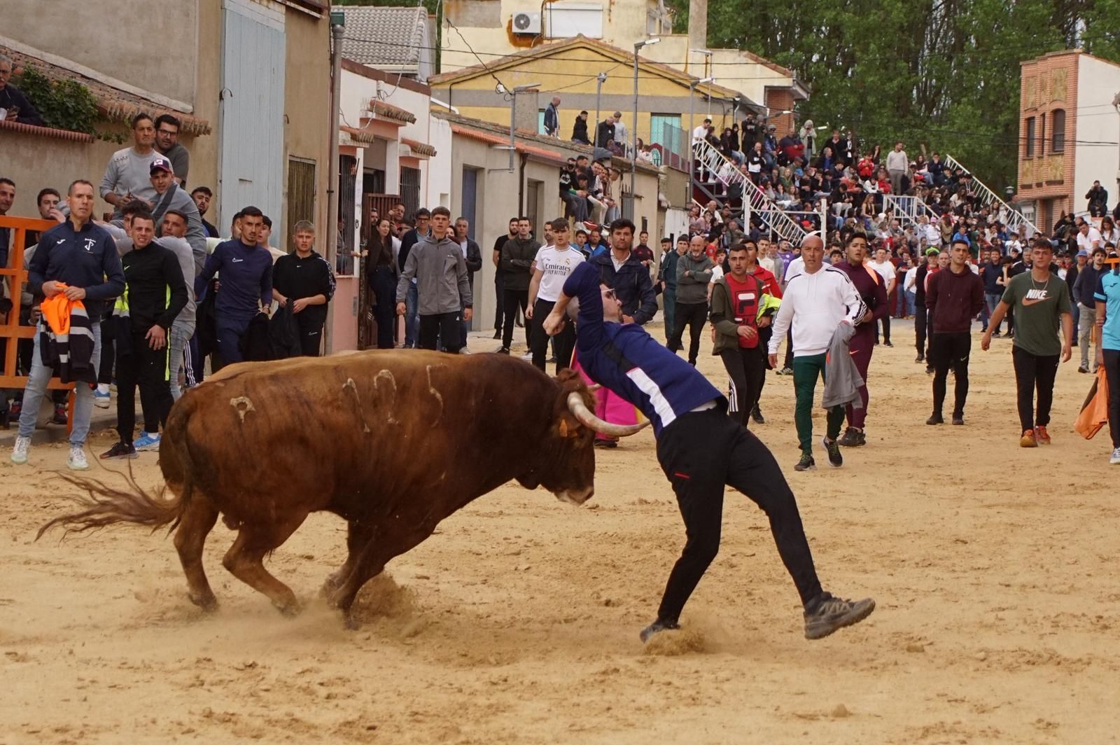 Villoria, toro del Voto