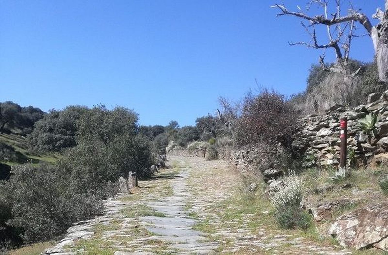 Senda del Duero en Vilvestre