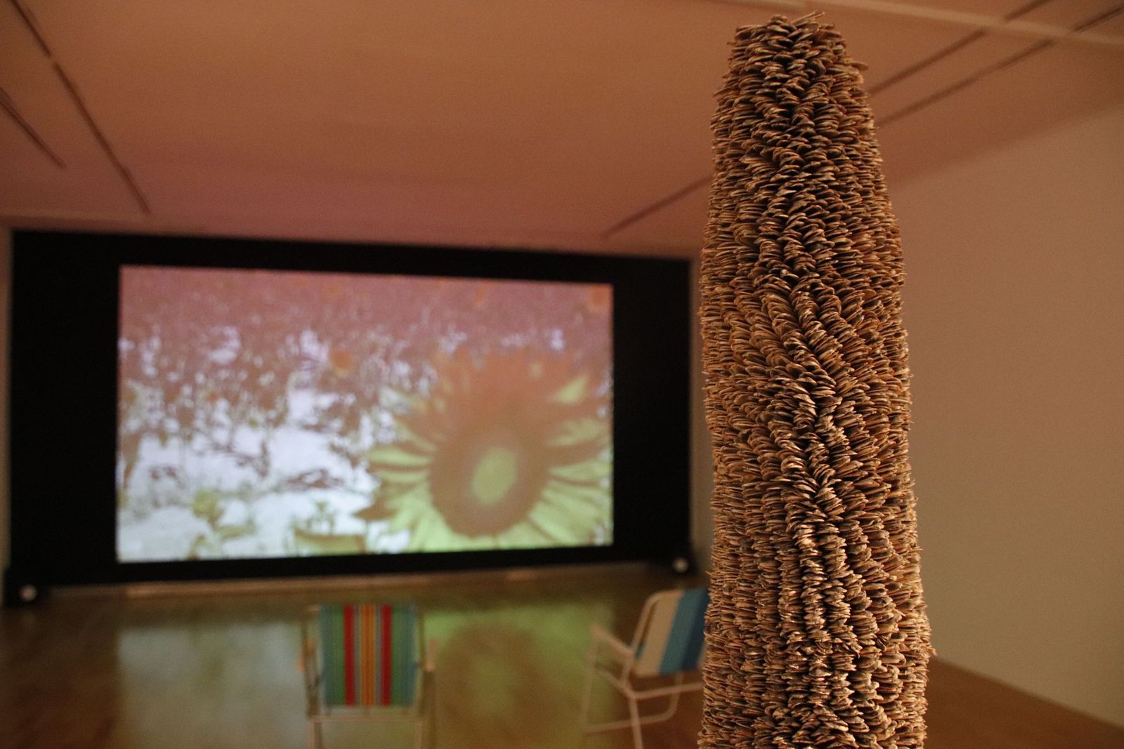 20220929113757-mg-1369