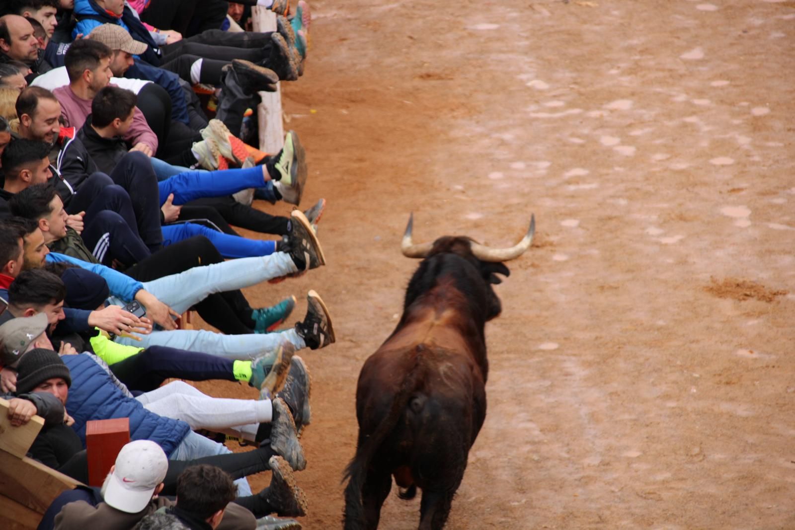 capea-matutina-del-martes-de-carnaval-5