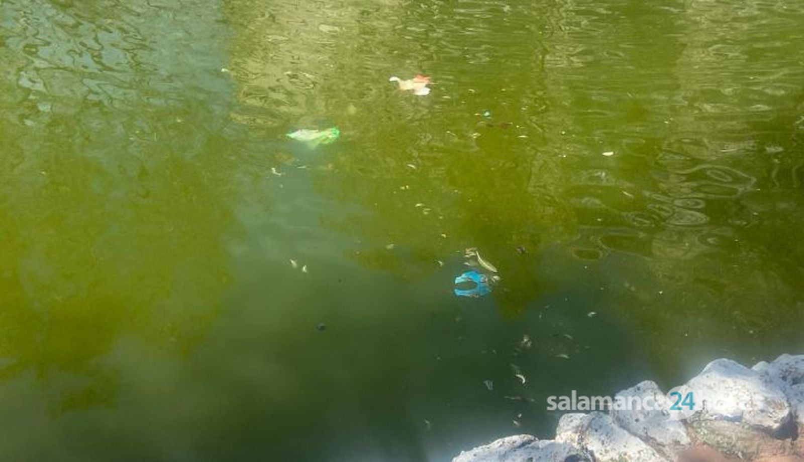 Suciedad en el estanque del parque de La Alamedilla