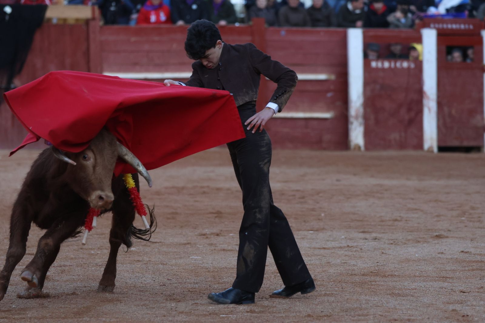 Festival taurino del Sábado en el Carnaval del Toro 2026 de Ciudad Rodrigo
