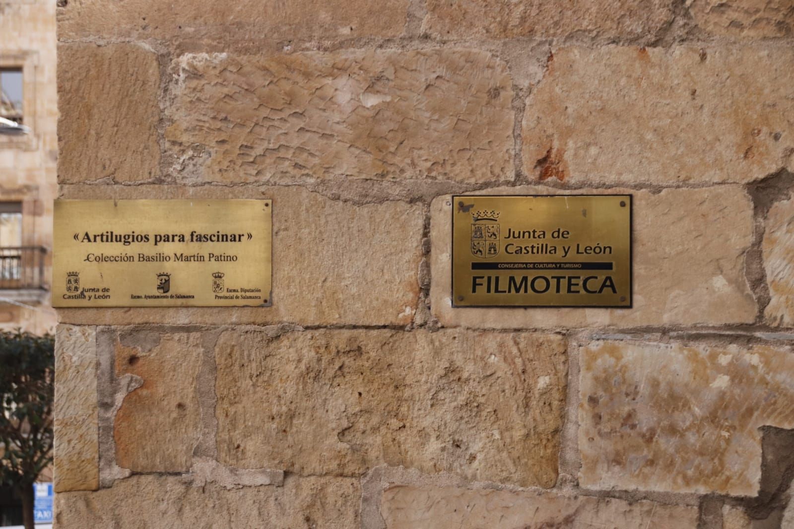Filmoteca de Castilla y León en Salamanca  (18)