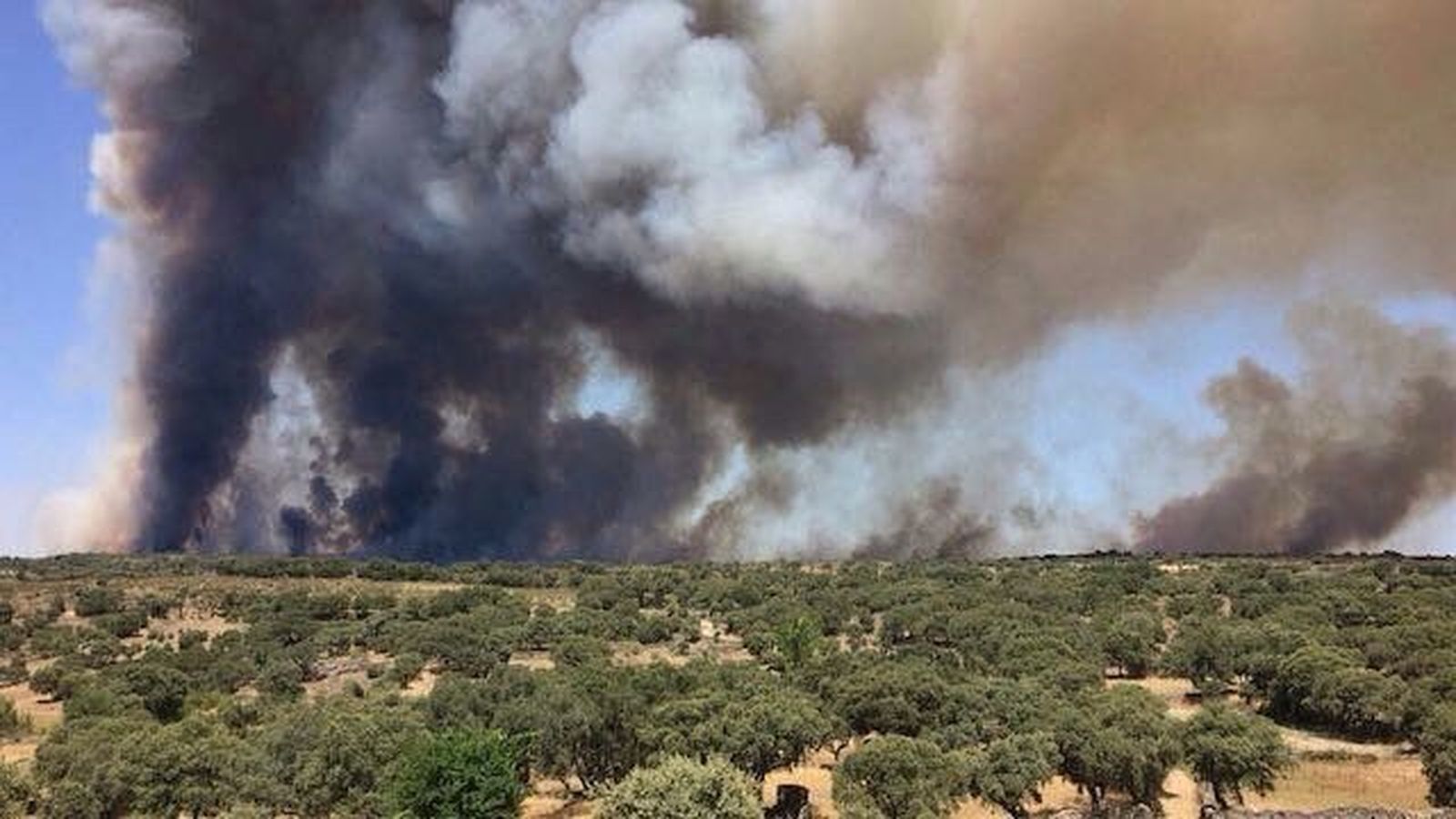 Cortada la N-122 debido al incendio ocasionado en Pino del Oro