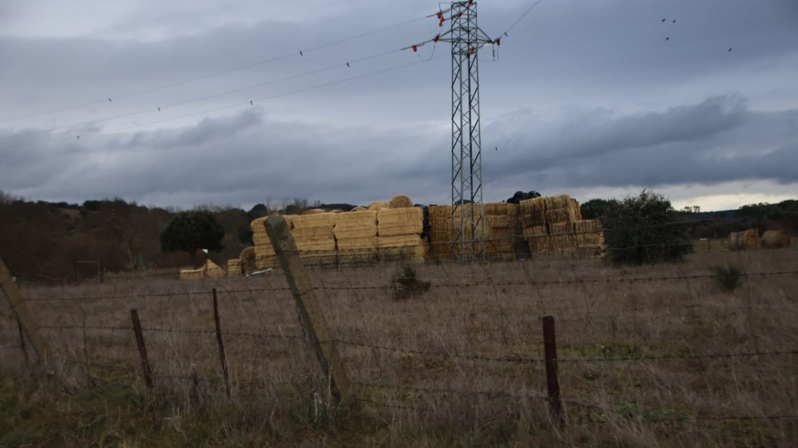 Finca Cantarranas donde se encontró el cuerpo de Álvaro Pérez en Ciudad Rodrigo
