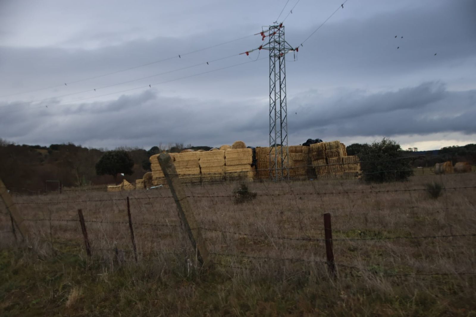 imagen-de-whatsapp-2025-02-07-a-las-10-06-31-5b226608