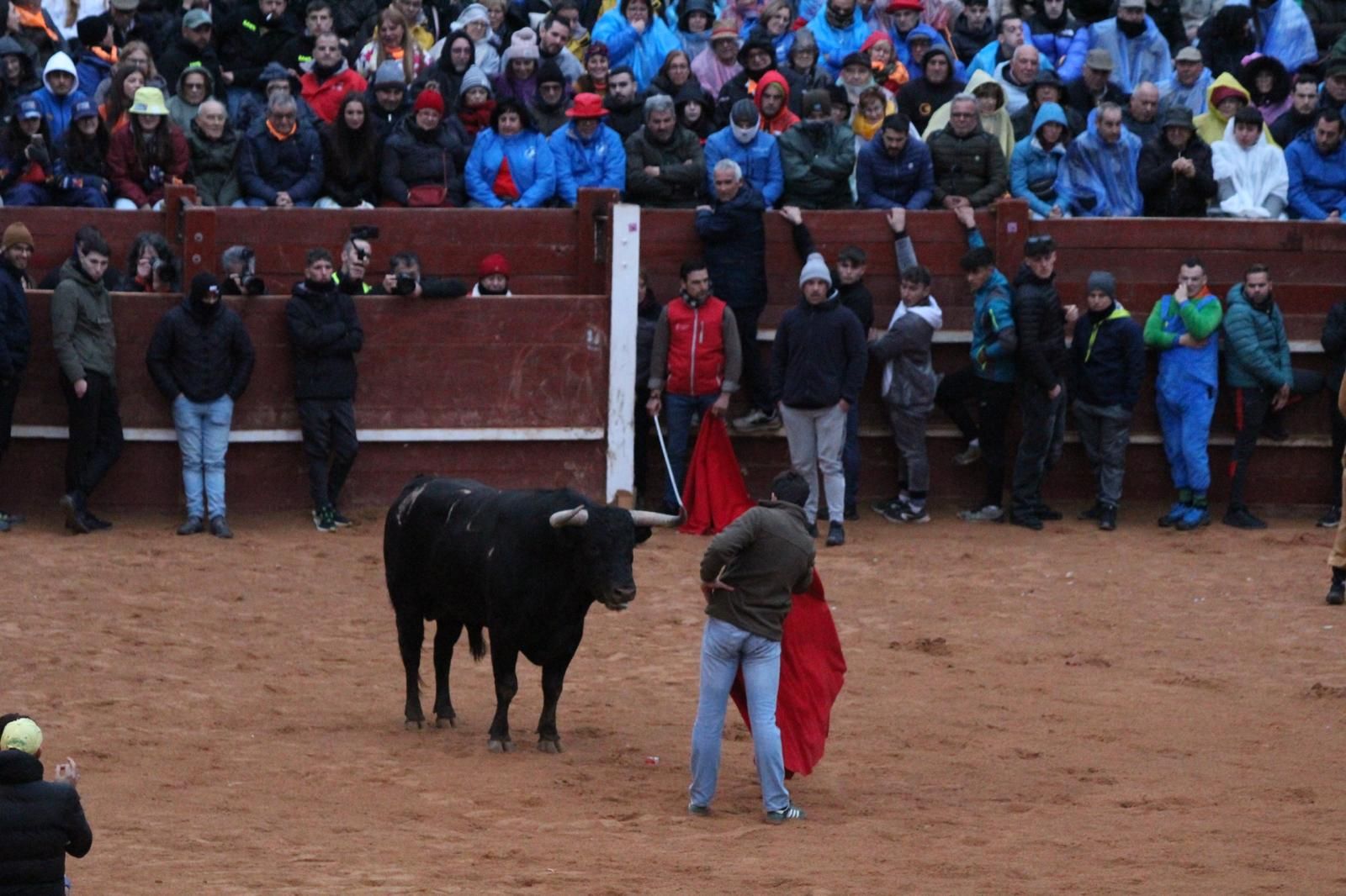 ambiente-y-capea-vespertina-sabado-de-carnaval-en-ciudad-rodrigo-2025-fotos-belen-hurtado-25