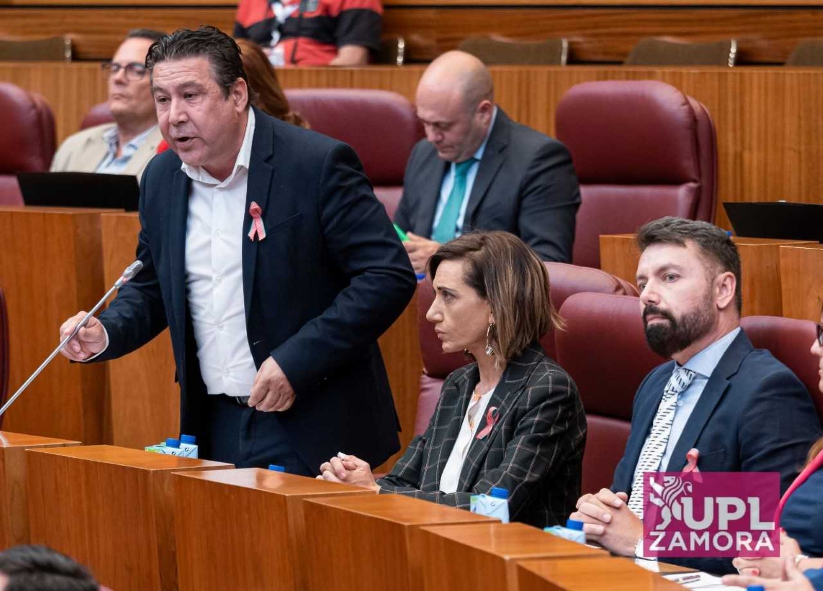 UPL en el Pleno de las Cortes